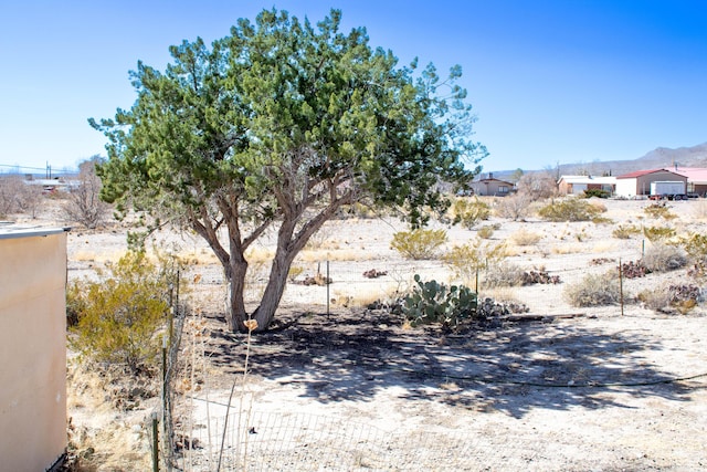 view of yard featuring a mountain view