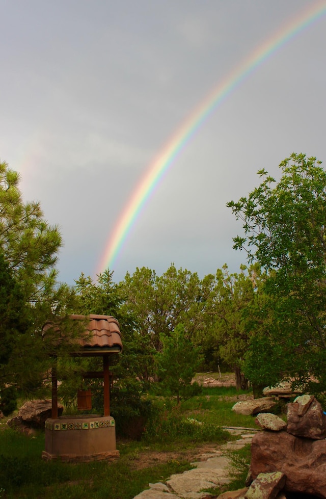 117 Vista Montana Rd, Estancia, NM 87016 - photo 12