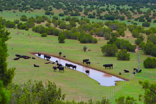117 Vista Montana Rd, Estancia, NM 87016 - photo 43