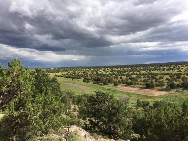 117 Vista Montana Rd, Estancia, NM 87016 - photo 46