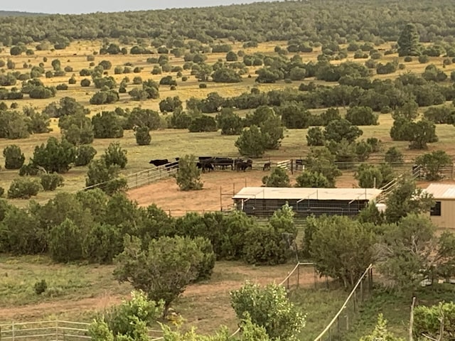 117 Vista Montana Rd, Estancia, NM 87016 - photo 48