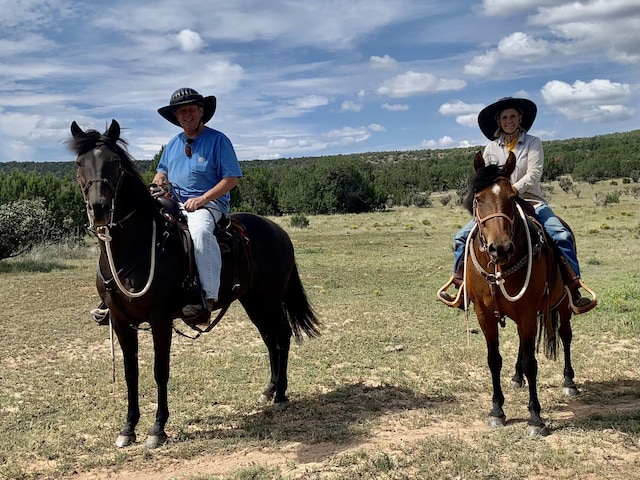 117 Vista Montana Rd, Estancia, NM 87016 - photo 50