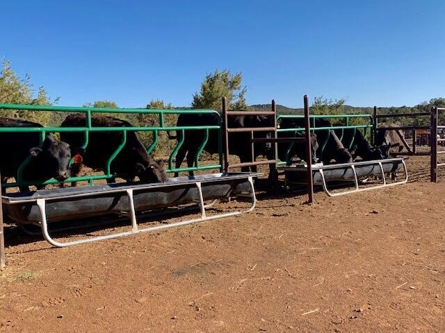 117 Vista Montana Rd, Estancia, NM 87016 - photo 54