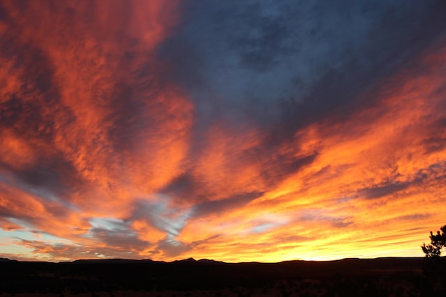 117 Vista Montana Rd, Estancia, NM 87016 - photo 64
