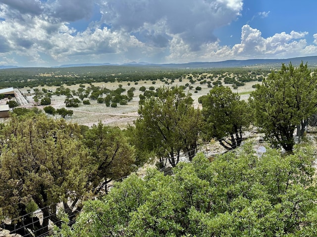 117 Vista Montana Rd, Estancia, NM 87016 - photo 65