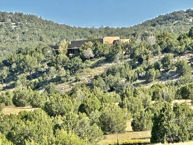 117 Vista Montana Rd, Estancia, NM 87016 - photo 66