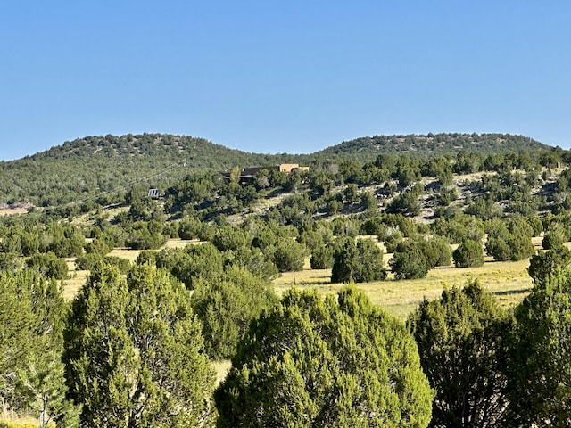 117 Vista Montana Rd, Estancia, NM 87016 - photo 67
