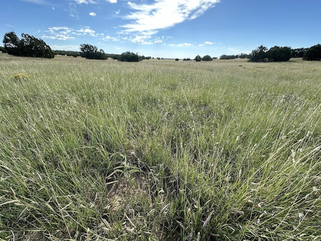 117 Vista Montana Rd, Estancia, NM 87016 - photo 68