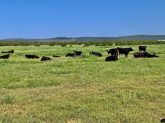 117 Vista Montana Rd, Estancia, NM 87016 - photo 70