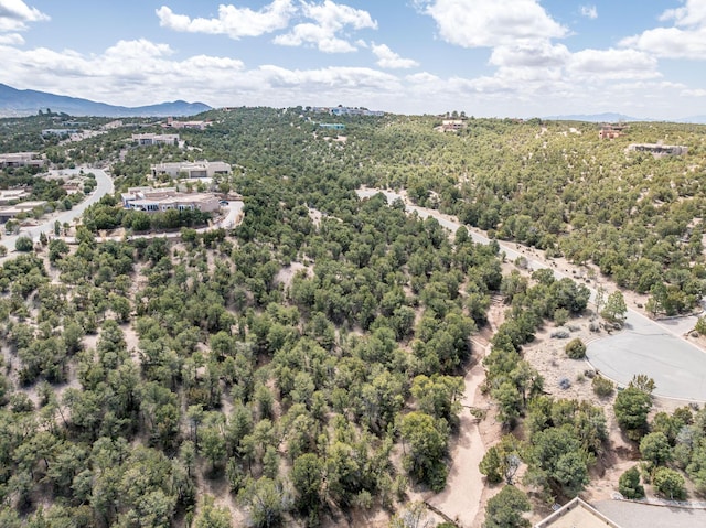 2959 Broken Sherd Trl, Santa Fe, NM 87506 - photo 6