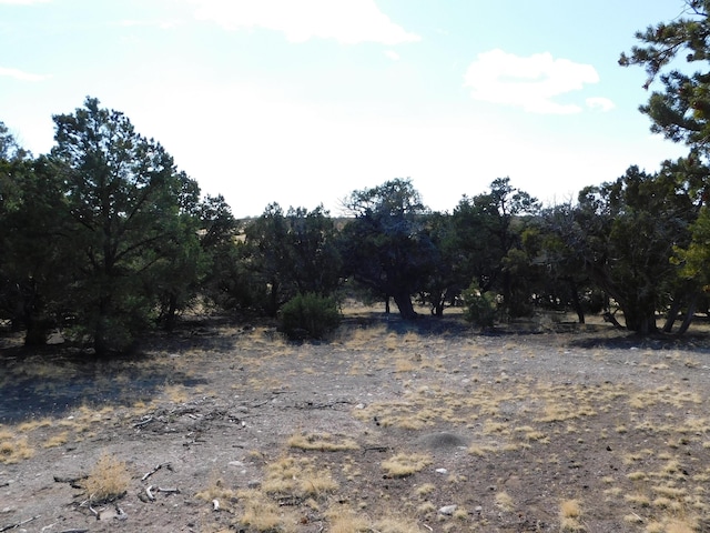 11 Spring Canyon Cir, Quemado, NM 87829