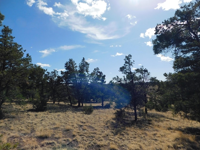 11 Spring Canyon Cir, Quemado, NM 87829