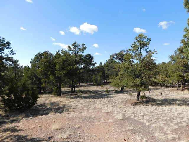 11 Spring Canyon Cir, Quemado, NM 87829