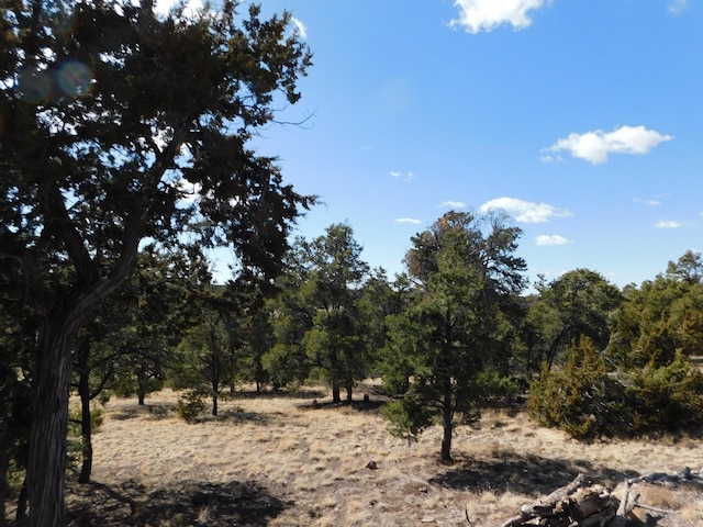 11 Spring Canyon Cir, Quemado, NM 87829
