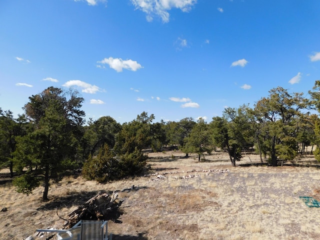 11 Spring Canyon Cir, Quemado, NM 87829