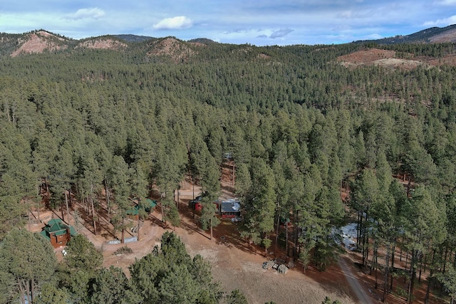 367 Horseshoe Loop, Jemez Springs, NM 87025 - photo 42