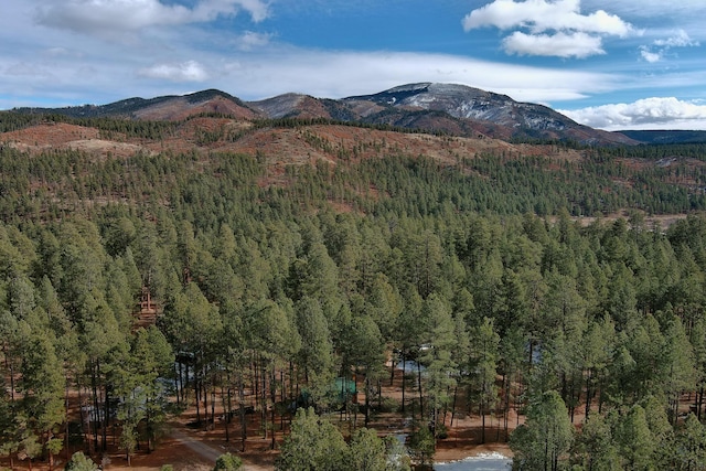 367 Horseshoe Loop, Jemez Springs, NM 87025 - photo 43