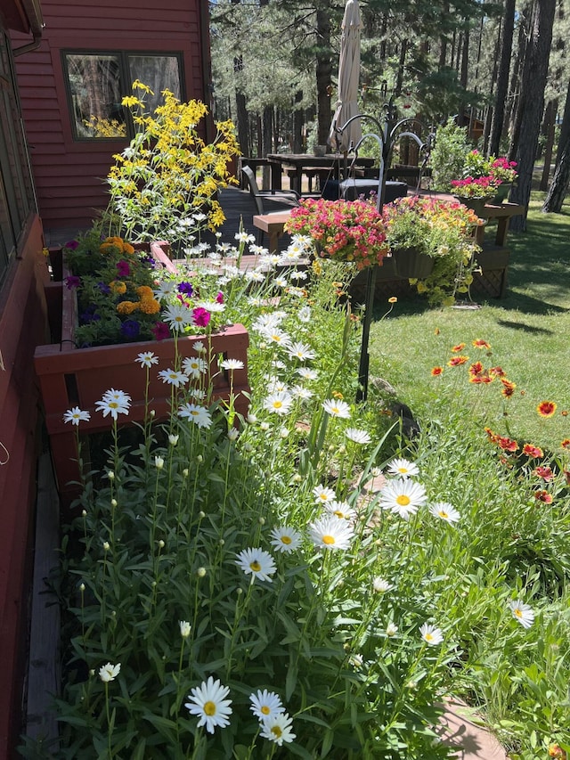367 Horseshoe Loop, Jemez Springs, NM 87025 - photo 73