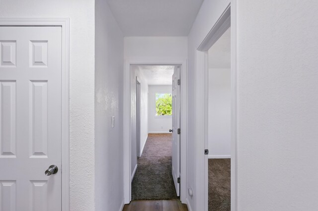 16 Apache Plume Rd, Los Lunas, NM 87031 - hall with dark wood-style flooring and dark carpet