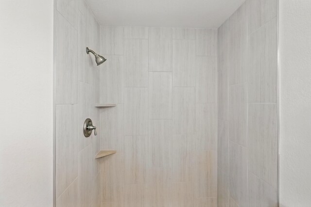 16 Apache Plume Rd, Los Lunas, NM 87031 - bathroom view of tiled shower