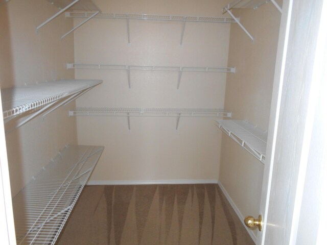 3461 Lone Tree St SW, Los Lunas, NM 87031 - spacious closet featuring carpet