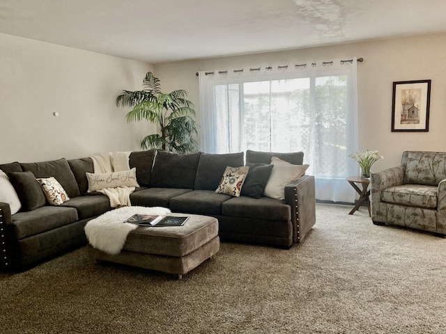 living room featuring carpet flooring