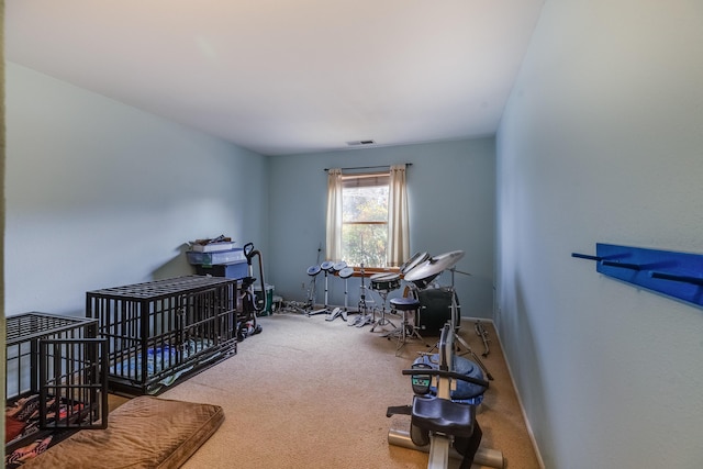 324 Aragon Ave, White Rock, NM 87547 - carpeted office space with visible vents and baseboards