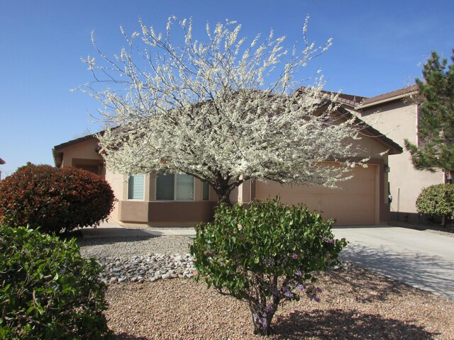 2843 Violeta Cir SE, Rio Rancho, NM 87124 - view of front facade featuring an attached garage, concrete driveway, and stucco siding