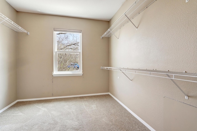 2703 Pueblo Grande Trl NW, Albuquerque, NM 87120 - walk in closet with carpet floors