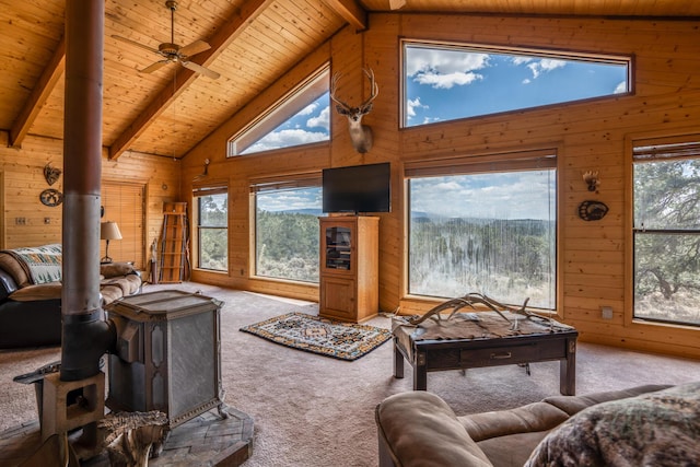 84 Private Drive 1717 1717, Lindrith, NM 87029 - photo 4