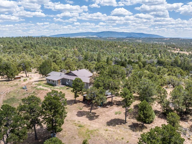 84 Private Drive 1717 1717, Lindrith, NM 87029 - photo 16