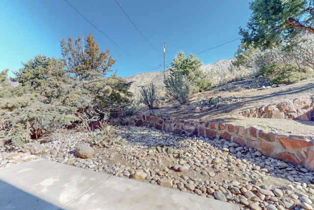 4500 Skyline Ct NE, Albuquerque, NM 87111 - view of yard