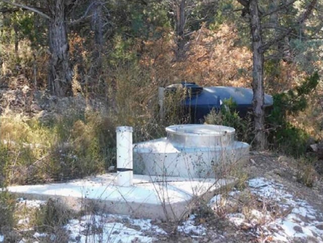 2 Cedar Hill Pl, Cedar Crest, NM 87008 - view of yard featuring a forest view