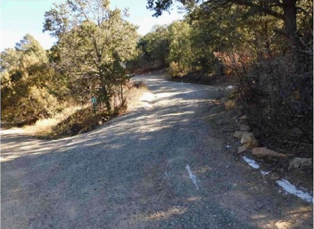 2 Cedar Hill Pl, Cedar Crest, NM 87008 - view of road