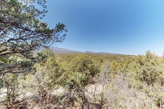 2 Cedar Hill Pl, Cedar Crest, NM 87008 - view of mountain background with a forest
