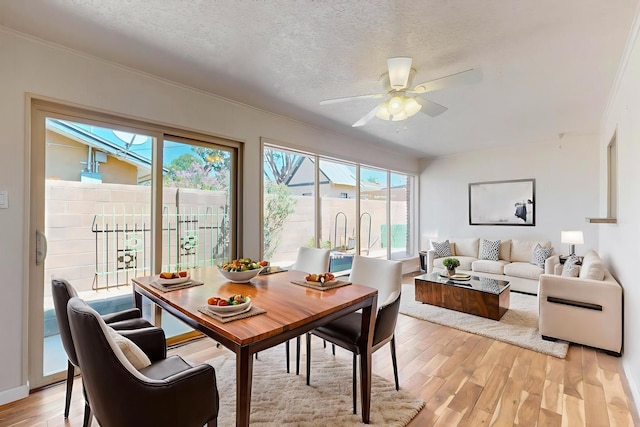 3708 Vermont St NE, Albuquerque, NM 87110 - photo 6