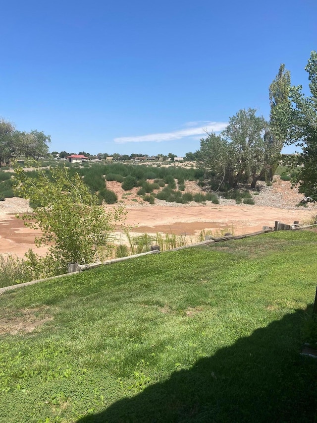 view of yard featuring a rural view