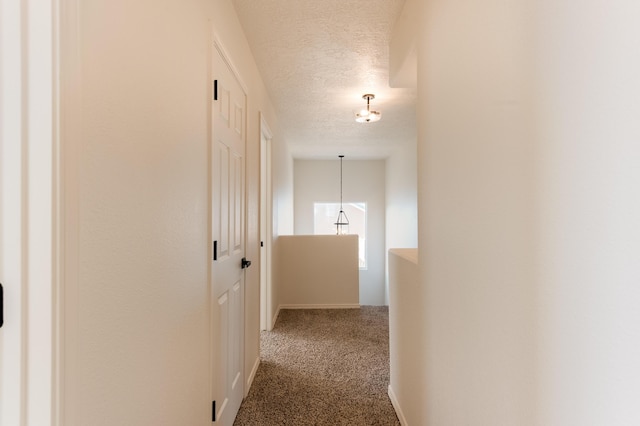 812 9th St NE, Rio Rancho, NM 87124 - photo 27