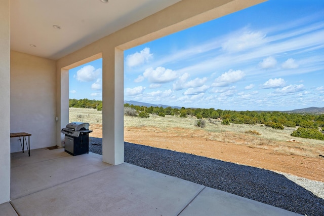 view of patio / terrace with a grill