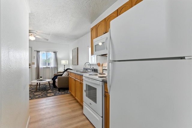 255 Gene Ave NW, Albuquerque, NM 87107 - photo 30