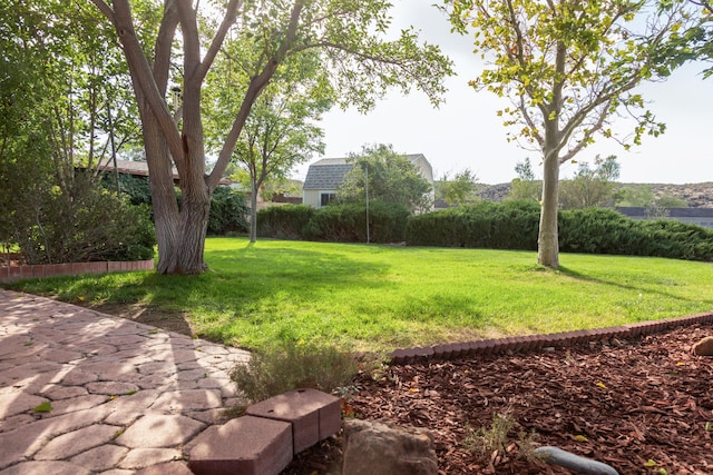 view of yard