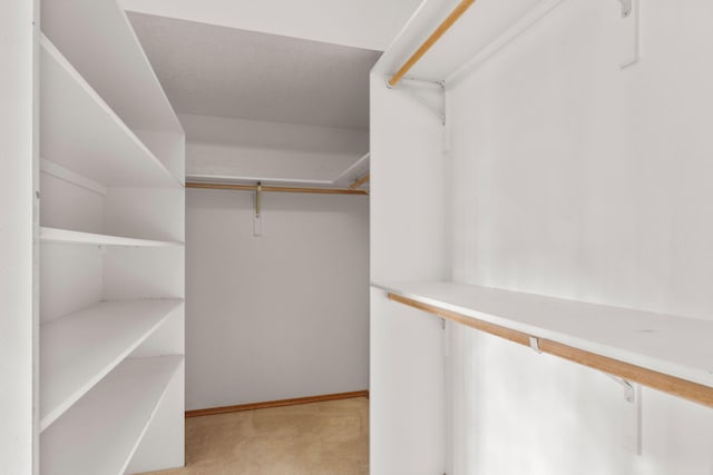 spacious closet with light carpet