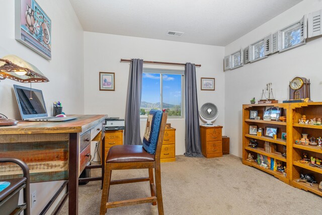 20 Camino Coyote, Edgewood, NM 87015 - photo 28
