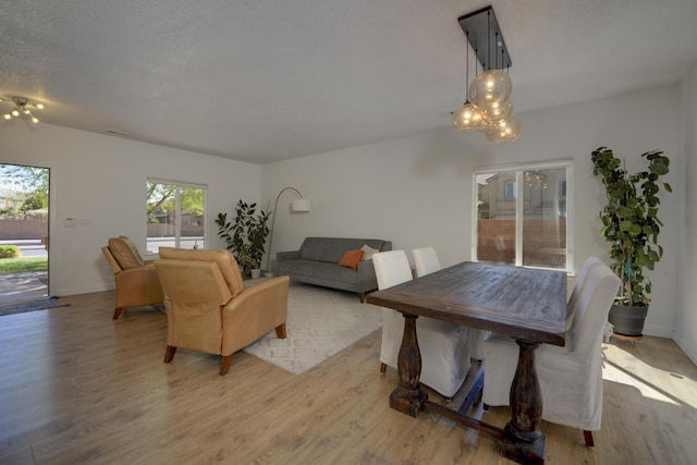1807 Avenida Comunidad, Rio Rancho, NM 87124 - living area with wood finished floors and baseboards