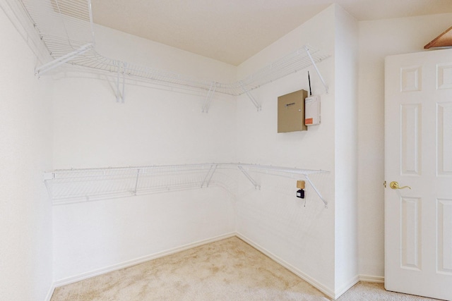 2740 Wilder Loop NE, Rio Rancho, NM 87144 - walk in closet with light carpet