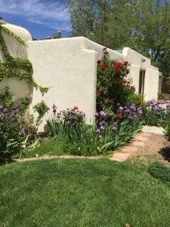 exterior space with a lawn and stucco siding
