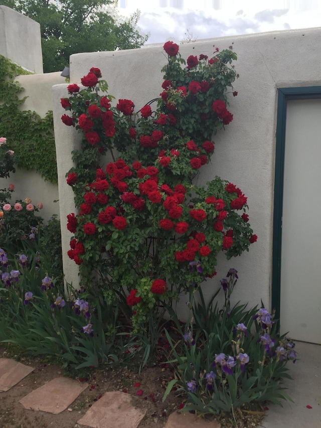 details with stucco siding
