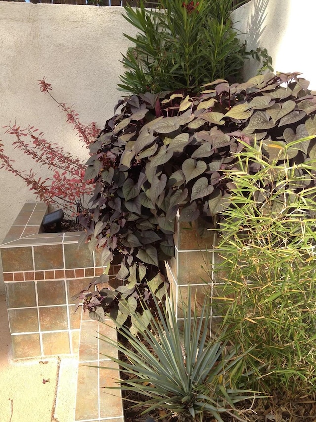 exterior details with stucco siding