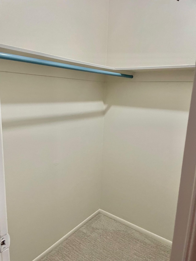 walk in closet with carpet