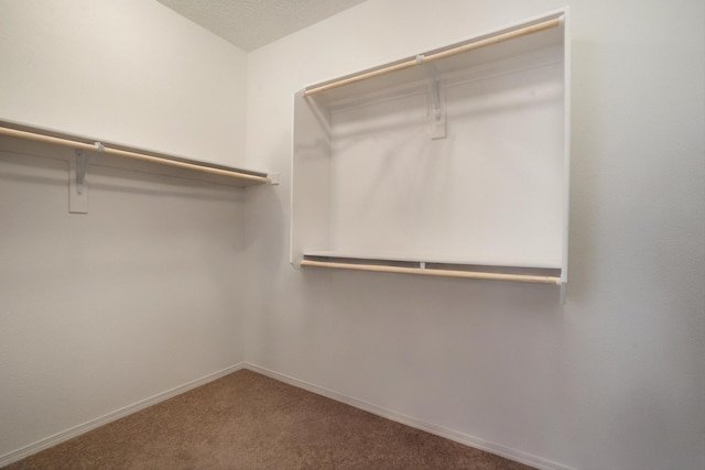 3003 Turquesa SE, Rio Rancho, NM 87124 - walk in closet with carpet